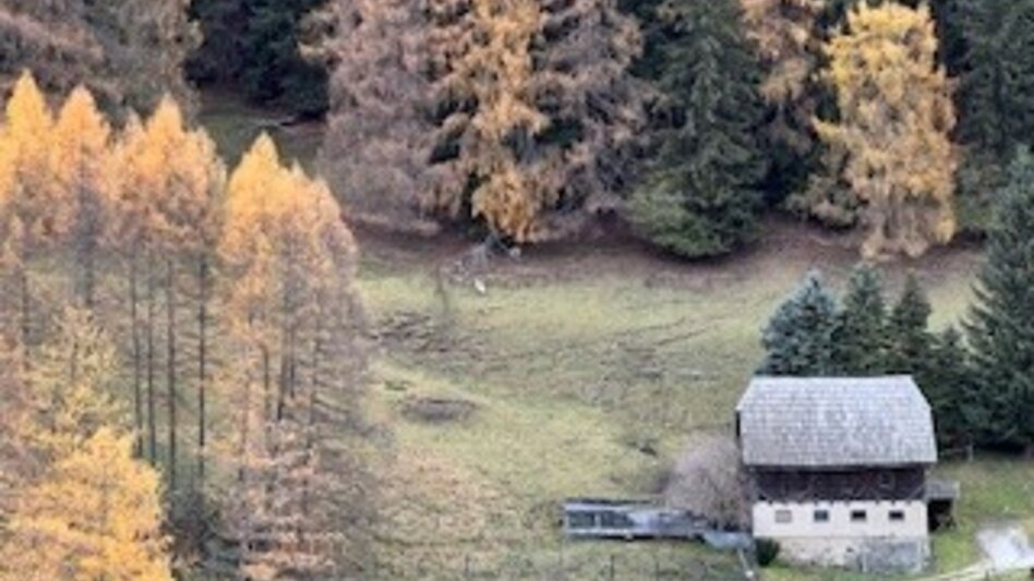 Wanderung Weg Nr. 6 Tatscherrunde - Touren-Impression #2.8 | © Heidemaria Kainer