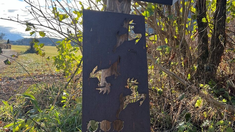 Wanderung Weg Nr. 8 Wildgehege und Haigl - Touren-Impression #2.1 | © Heidemaria Kainer