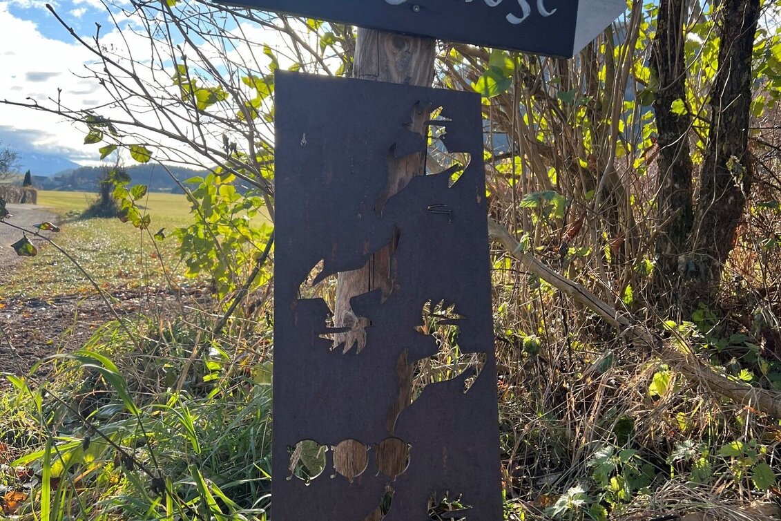 Wanderung Weg Nr. 8 Wildgehege und Haigl - Touren-Impression #1 | © Heidemaria Kainer