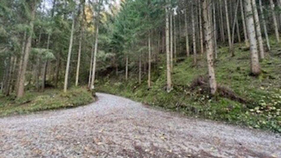Wanderung Weg Nr. 11 Treffenthaler Runde - Touren-Impression #2.1 | © Heidemaria Kainer