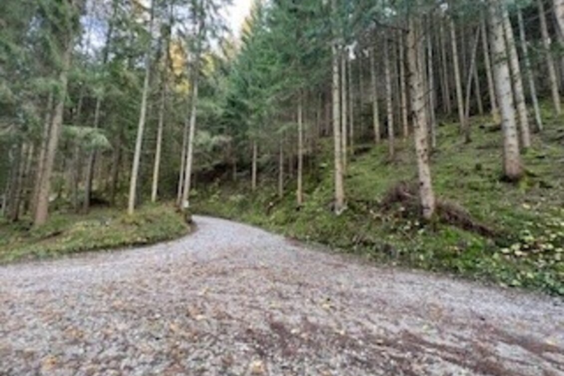 Wanderung Weg Nr. 11 Treffenthaler Runde - Touren-Impression #1 | © Heidemaria Kainer