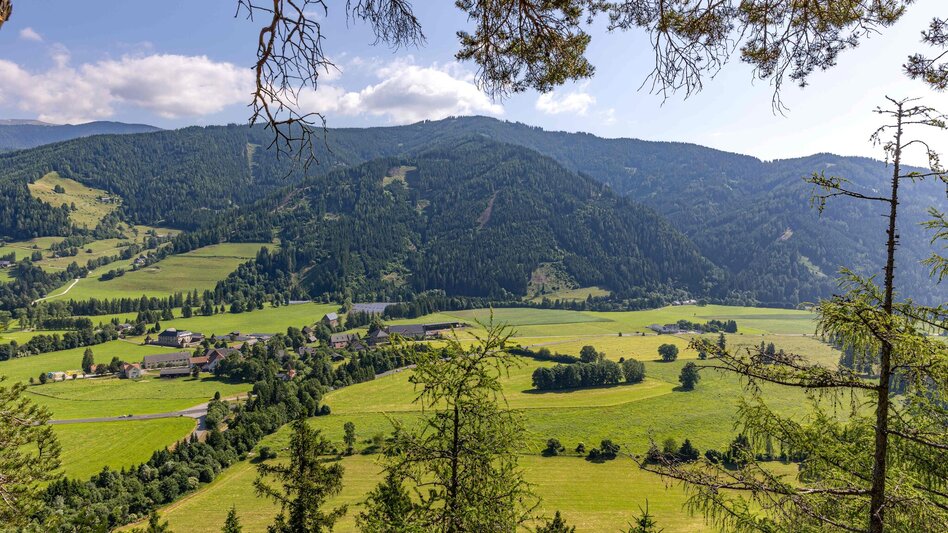 Wanderung Weg Nr. 11 Treffenthaler Runde - Touren-Impression #2.3 | © Hannes Steiner