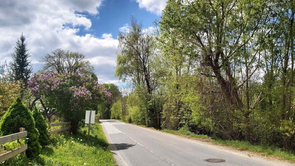 Jogging Lindenberg circuit, Passail - Touren-Impression #2.5 | © Oststeiermark Tourismus