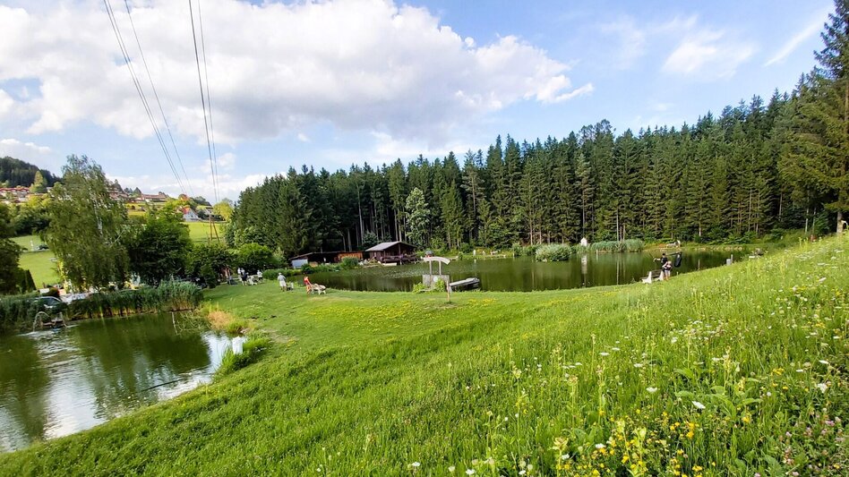 Jogging Moarhofhechtl-Runde, Passail - Touren-Impression #2.4 | © Oststeiermark Tourismus