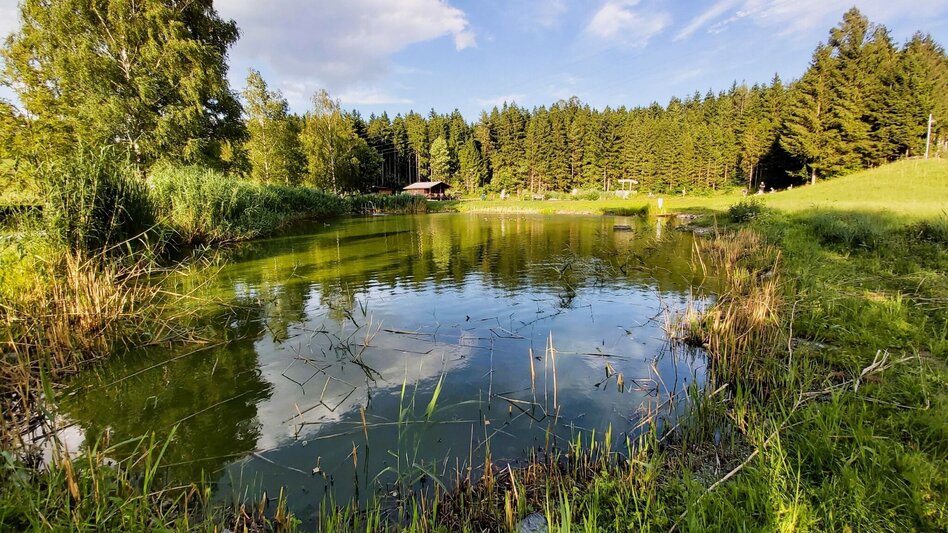 Jogging Moarhofhechtl-Runde, Passail - Touren-Impression #2.5 | © Oststeiermark Tourismus