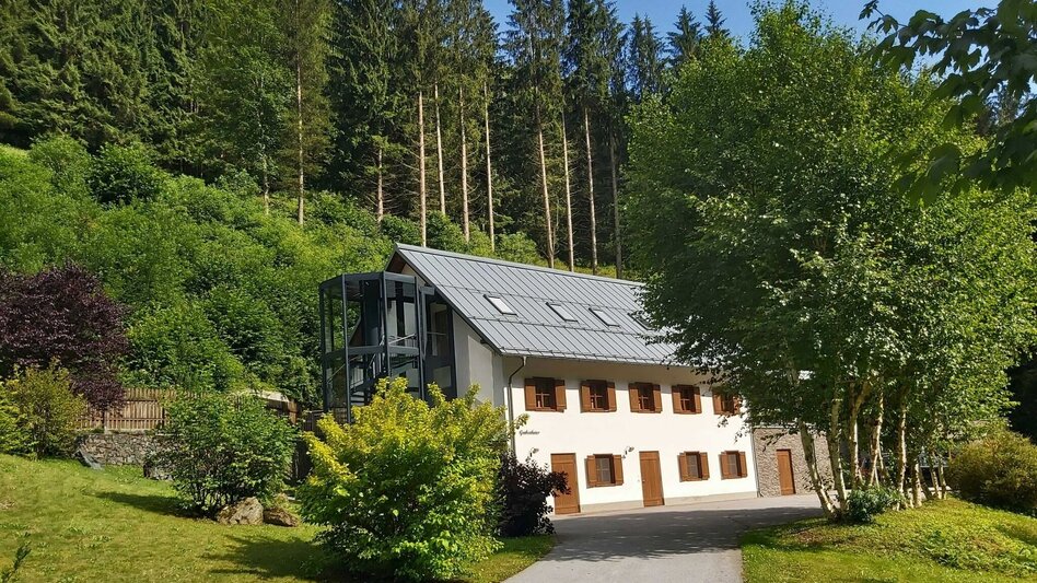 Jogging Arzberg circuit, Passail - Touren-Impression #2.1 | © Oststeiermark Tourismus