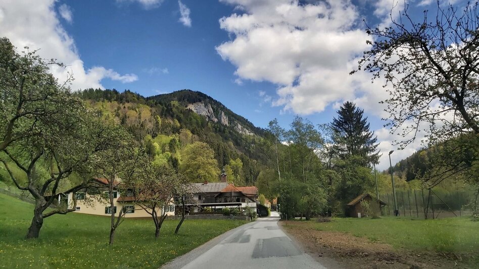 Jogging Arzberg circuit, Passail - Touren-Impression #2.4 | © Oststeiermark Tourismus