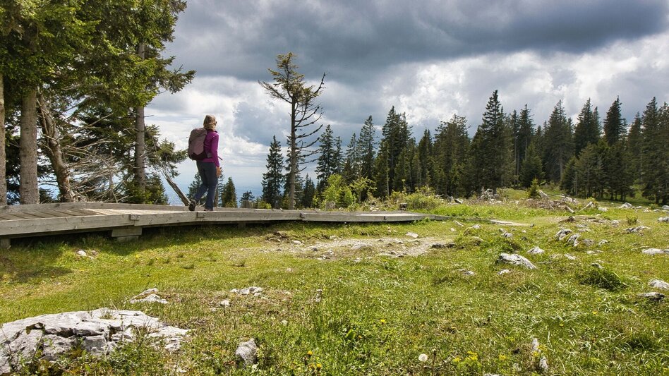 Hiking route Schöcklrunde über Schöcklkreuz - Touren-Impression #2.1 | © Weges OG