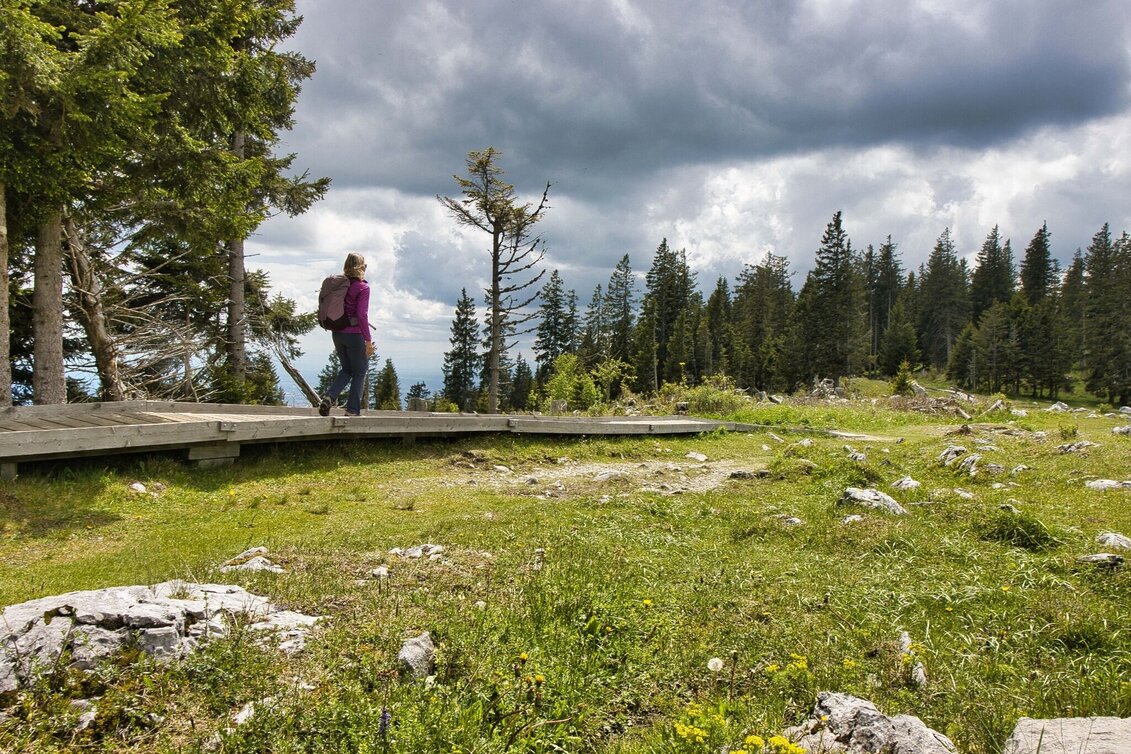 Hiking route Schöcklrunde über Schöcklkreuz - Touren-Impression #1 | © Weges OG