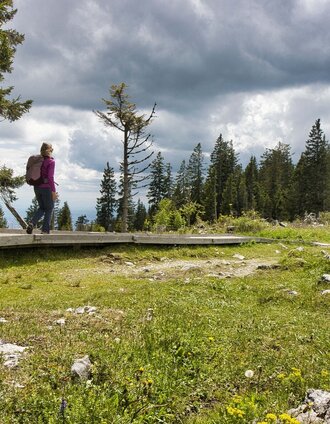 IMG_5384.jpg | Weges OG | © Weges OG