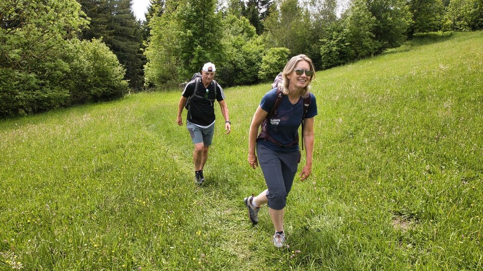 Hiking route Schöcklrunde über Schöcklkreuz - Touren-Impression #2.6 | © Weges OG