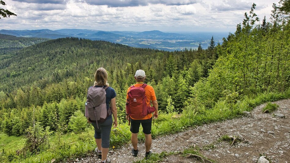 Hiking route Schöcklrunde über Schöcklkreuz - Touren-Impression #2.7 | © Weges OG