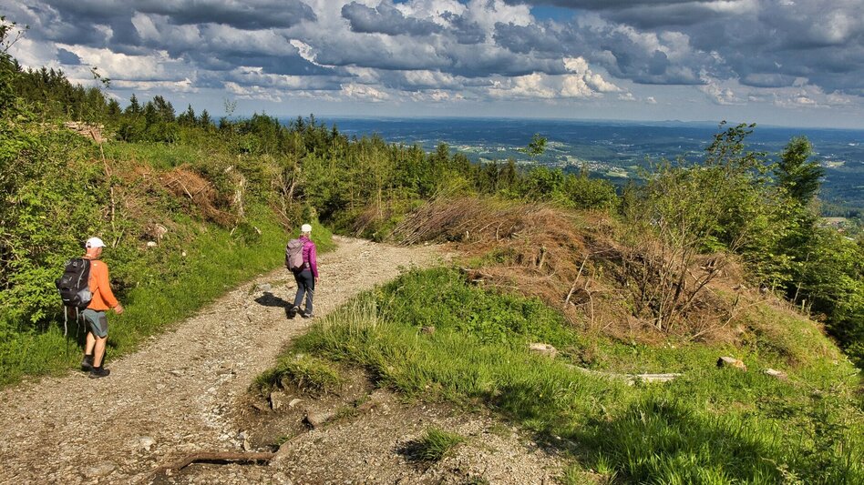 Hiking route Schöcklrunde über Schöcklkreuz - Touren-Impression #2.9 | © Weges OG