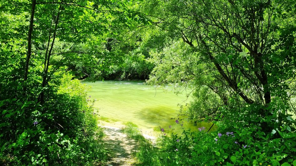 Hiking route Sun Mile circular hiking trail in the Mürzer Oberland Nature Park - Touren-Impression #2.3
