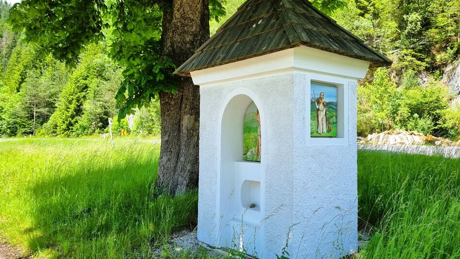 Hiking route Sun Mile circular hiking trail in the Mürzer Oberland Nature Park - Touren-Impression #2.4