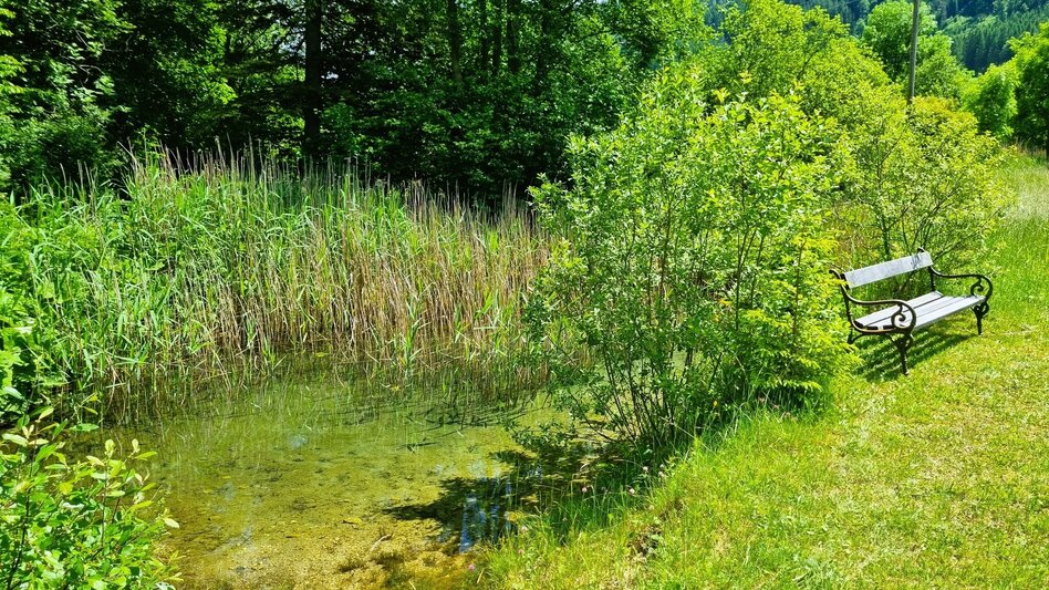 Hiking route Sun Mile circular hiking trail in the Mürzer Oberland Nature Park - Touren-Impression #2.5