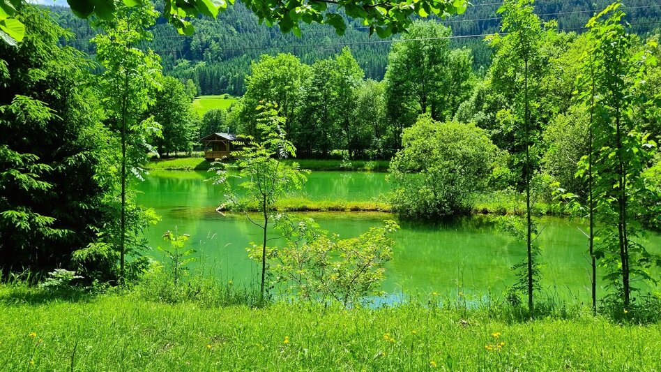 Hiking route Sun Mile circular hiking trail in the Mürzer Oberland Nature Park - Touren-Impression #2.6
