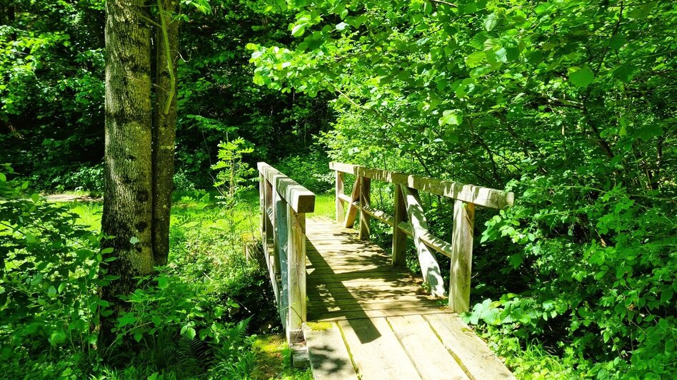 Hiking route Sun Mile circular hiking trail in the Mürzer Oberland Nature Park - Touren-Impression #2.7