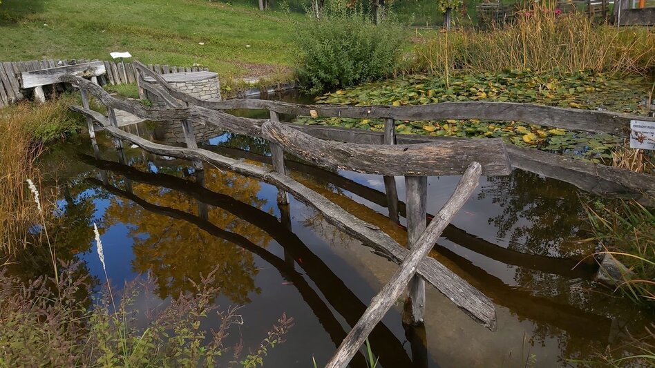 Radfahren Külml-Paradies-Runde im ApfelLand - Touren-Impression #2.14 | © Oststeiermark Tourismus