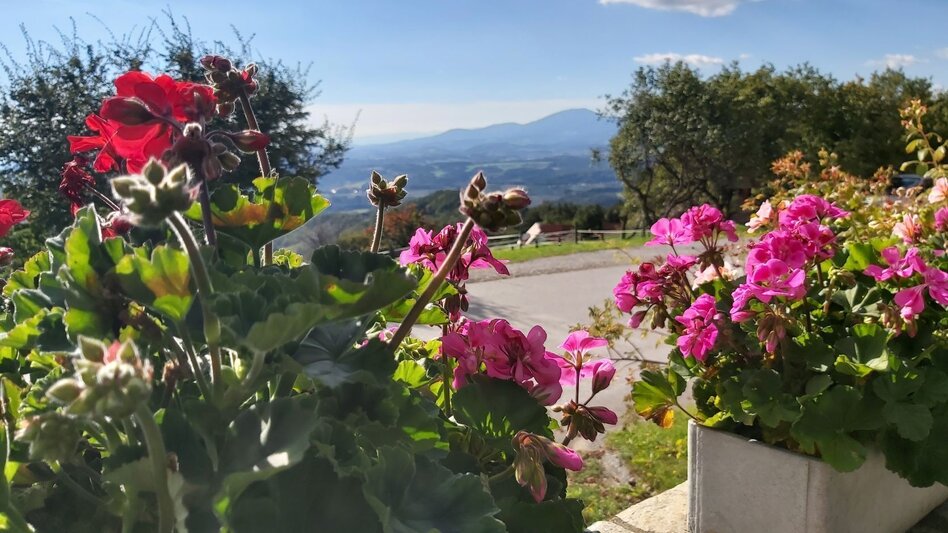 Radfahren Külml-Paradies-Runde im ApfelLand - Touren-Impression #2.15 | © Oststeiermark Tourismus