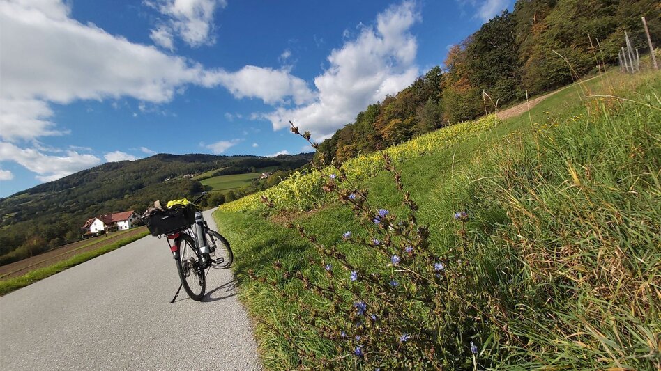 Radfahren Külml-Paradies-Runde im ApfelLand - Touren-Impression #2.18 | © Oststeiermark Tourismus