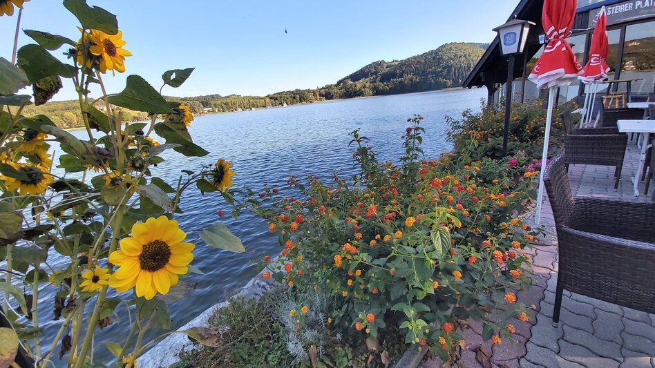 Radfahren Külml-Paradies-Runde im ApfelLand - Touren-Impression #2.23 | © Oststeiermark Tourismus