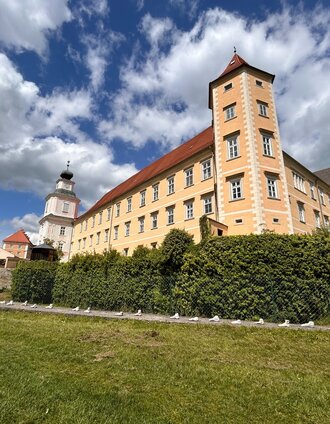 Stift_Rücksteite gross.jpg