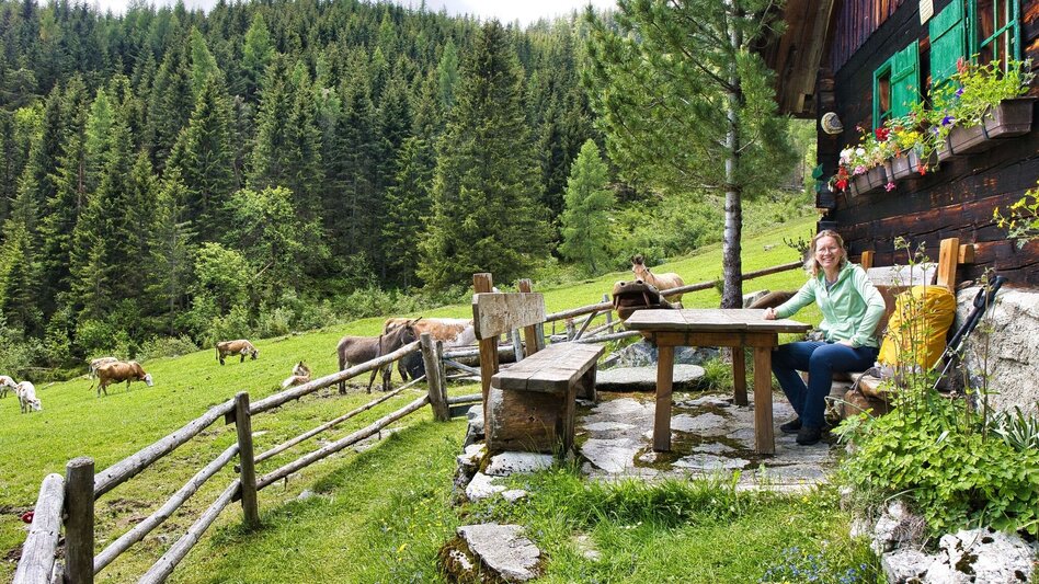 Hiking route Feistererhorn - Touren-Impression #2.8 | © Weges OG