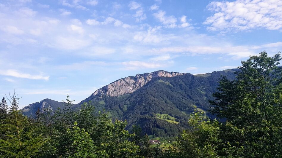 Wanderung Bürgermeister-Runde, Nechnitz - Touren-Impression #2.1 | © Oststeiermark Tourismus