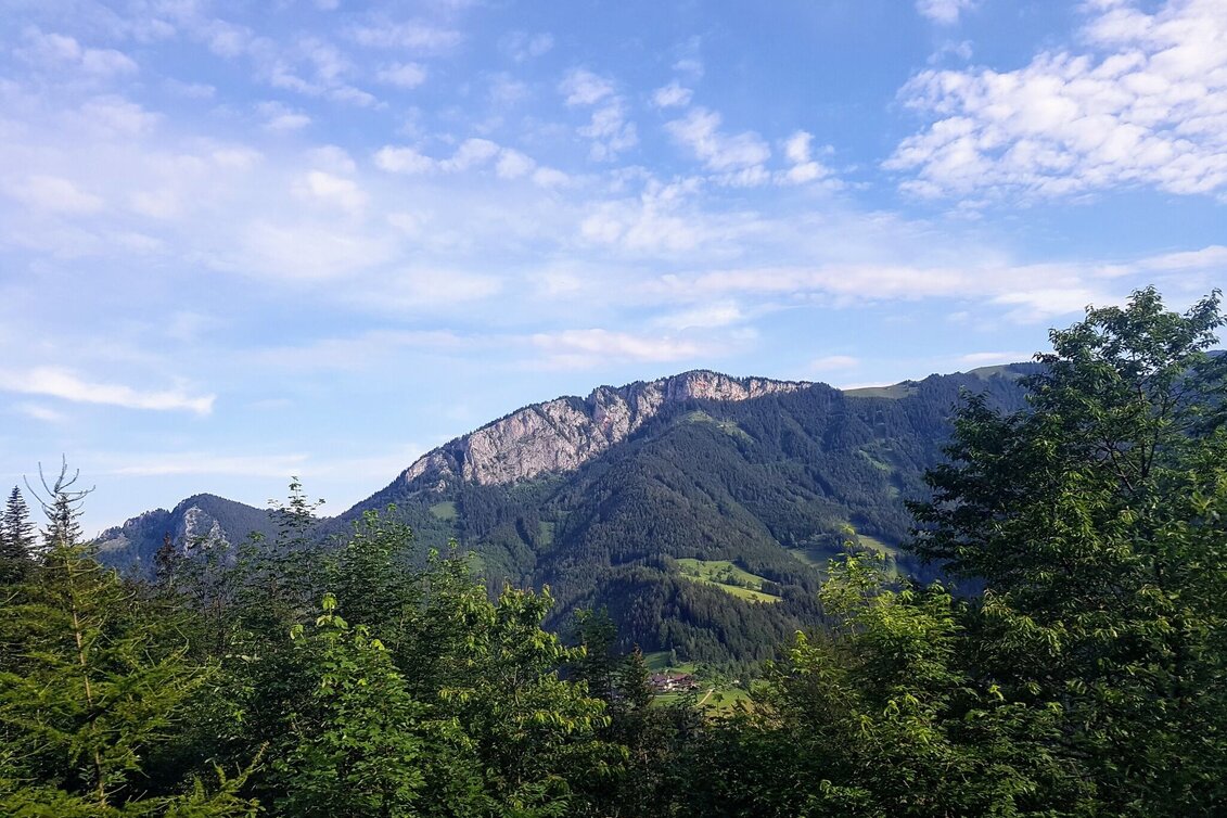 Wanderung Bürgermeister-Runde, Nechnitz - Touren-Impression #1 | © Oststeiermark Tourismus