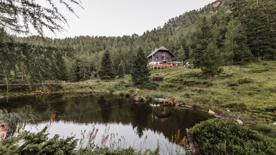 Bergtour 4-Gipfel-Tour Hochhaide - Moserspitz - Diewaldgupf und Seegupf - Touren-Impression #2.3