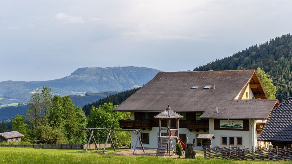Hiking route Nechnitz-Runde über Holzskulpturenweg, Nechnitz - Touren-Impression #2.4 | © Oststeiermark Tourismus