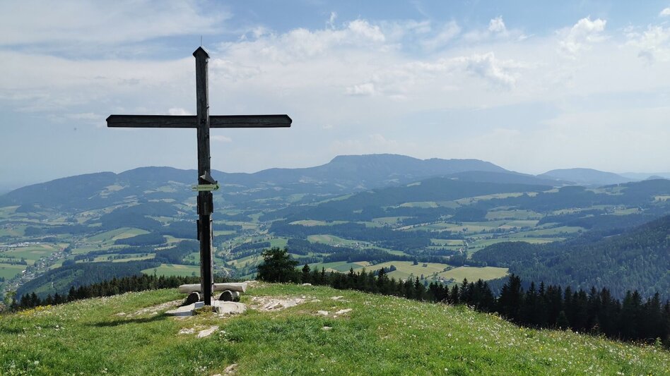 Hiking route Nechnitz-Runde über Holzskulpturenweg, Nechnitz - Touren-Impression #2.6 | © Oststeiermark Tourismus