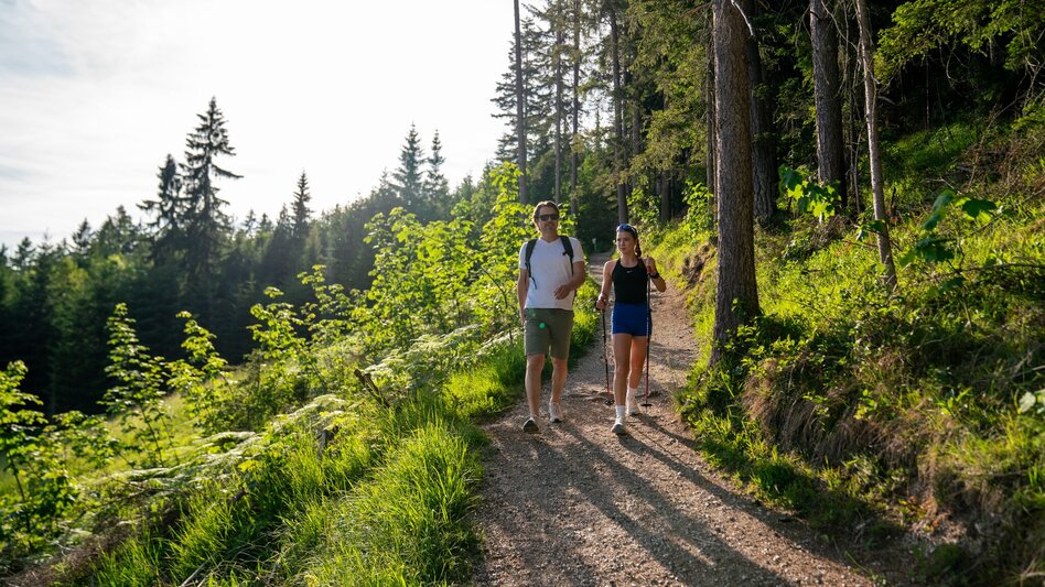 Hiking route Kinderwagenrundweg Sattelberg - Touren-Impression #2.8 | © Christine Höflehner