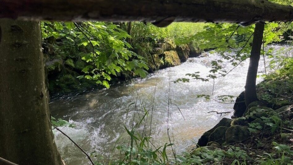 Wanderung Weg Nr. 10 Trattenwirtwanderweg - Touren-Impression #2.1 | © Heidemaria Kainer
