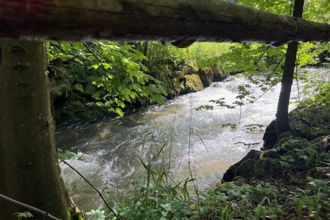 Wanderung Weg Nr. 10 Trattenwirtwanderweg - Touren-Impression #1 | © Heidemaria Kainer