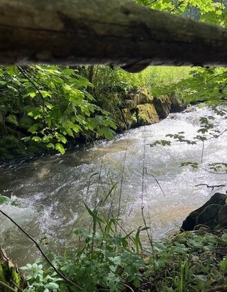 Trattenwirtwanderung_3_Heidi Kainer.jpg | Heidemaria Kainer | © Heidemaria Kainer