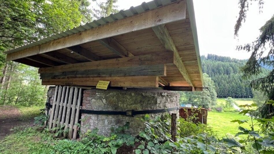 Wanderung Weg Nr. 10 Trattenwirtwanderweg - Touren-Impression #2.2 | © Heidemaria Kainer