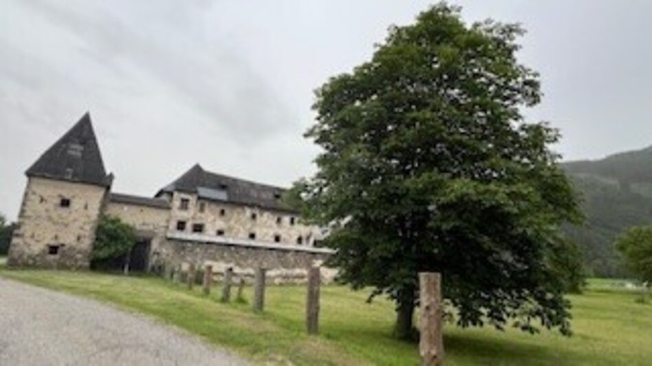 Wanderung Schloss Hanfelden Rundwanderung - Touren-Impression #2.3 | © Heidemaria Kainer