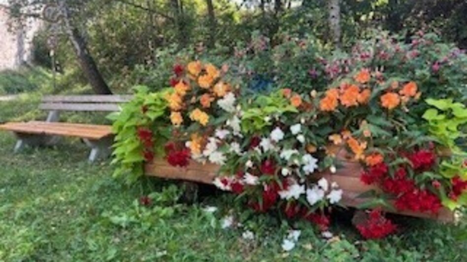 Wanderung Schloss Hanfelden Rundwanderung - Touren-Impression #2.4 | © Heidemaria Kainer