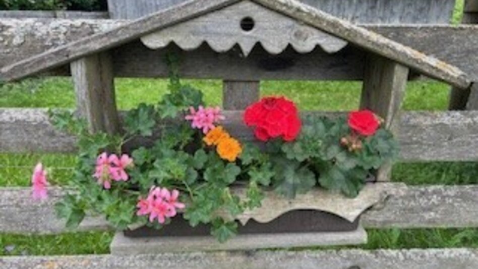 Wanderung Schloss Hanfelden Rundwanderung - Touren-Impression #2.5 | © Heidemaria Kainer