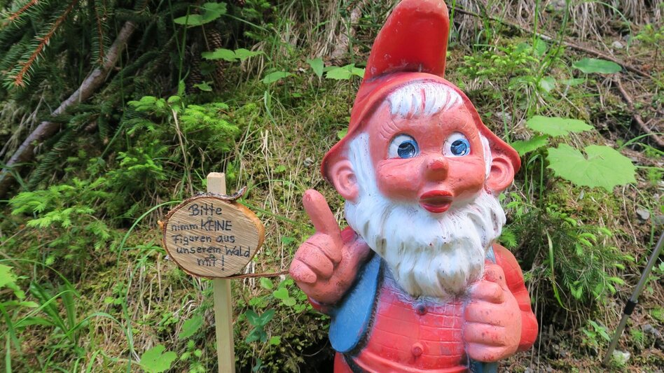 Themen- und Lehrpfad Zwergenwald - Touren-Impression #2.1 | © Marlene Zandl