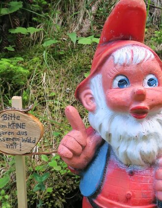 Zwergenwald_Hohentauern-Murtal-Steiermark c Marlene Zandl (15).JPG | Marlene Zandl | © Marlene Zandl