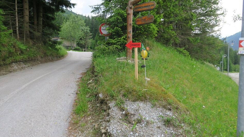 Themen- und Lehrpfad Zwergenwald - Touren-Impression #2.2 | © Marlene Zandl