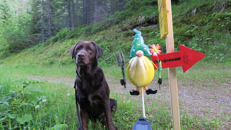 Themen- und Lehrpfad Zwergenwald - Touren-Impression #2.3 | © Marlene Zandl
