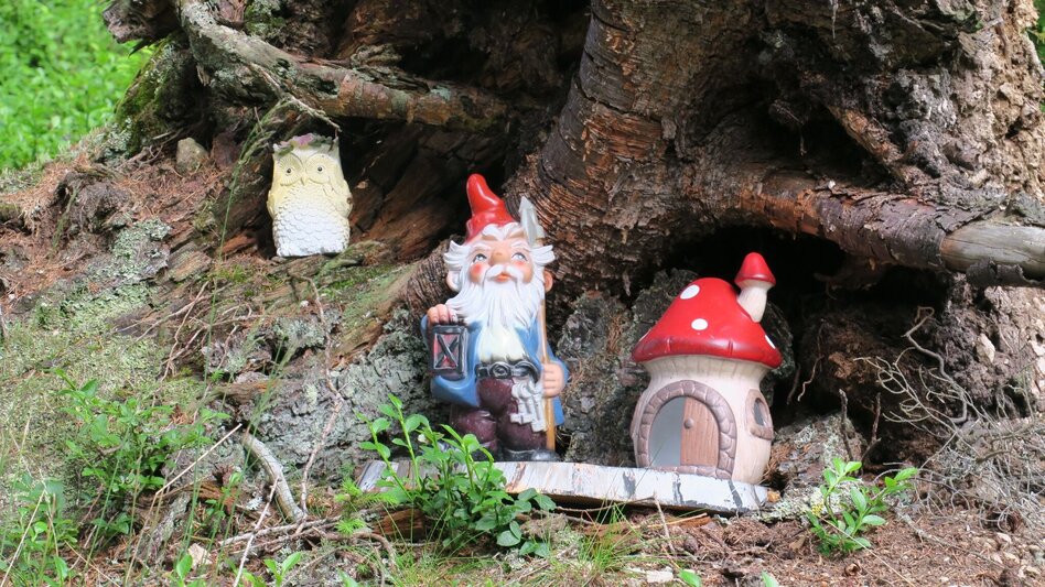 Themen- und Lehrpfad Zwergenwald - Touren-Impression #2.4 | © Marlene Zandl