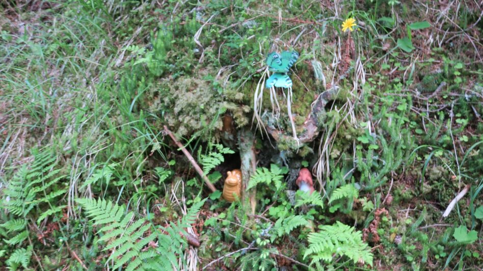 Themen- und Lehrpfad Zwergenwald - Touren-Impression #2.7 | © Marlene Zandl