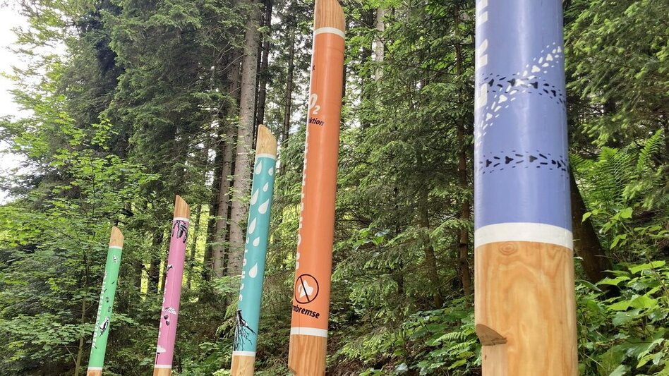 Hiking route Source of life & natural danger - flood protection adventure trail, Gasen - Touren-Impression #2.2 | © Oststeiermark Tourismus