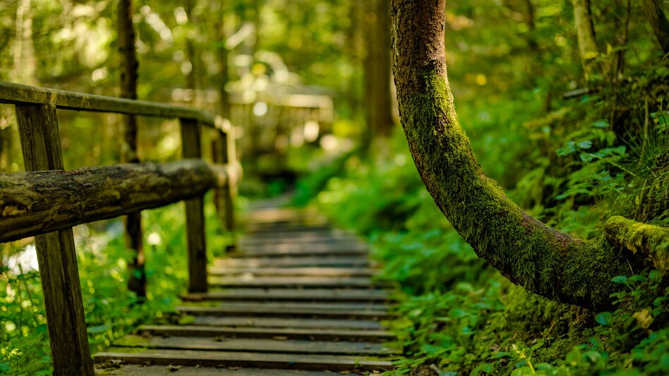 Bike & Hike Bike & Hike Obdach - Granitzen - Touren-Impression #2.4 | © Erlebnisregion Murtal