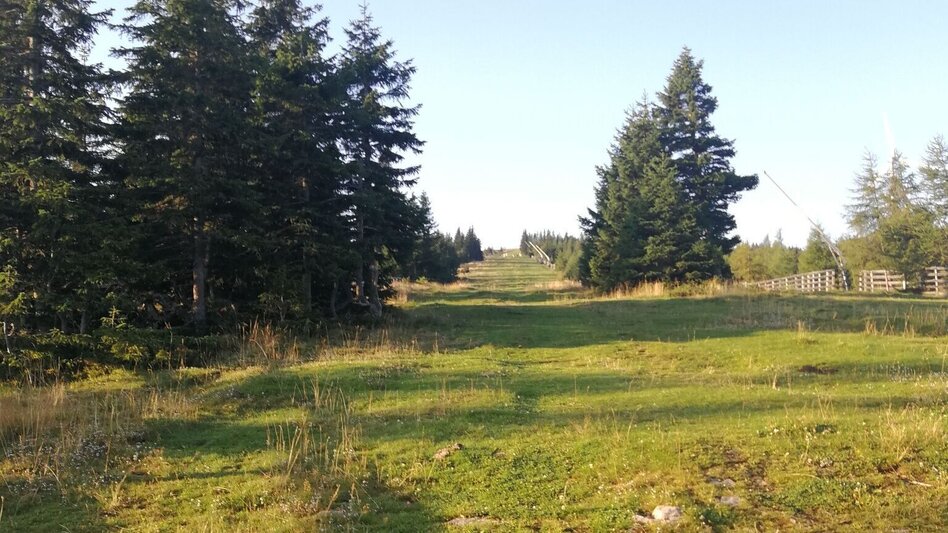 Bike & Hike Bike & Hike - Großfeistritz - Salzstiegelhaus - Touren-Impression #2.9 | © Erlebnisregion Murtal